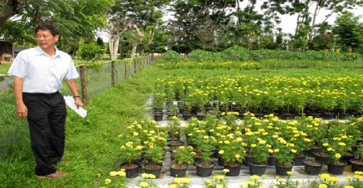 เกษตรกรรุ่นใหม่(2) เกษตรกรรุ่นใหม่(2)