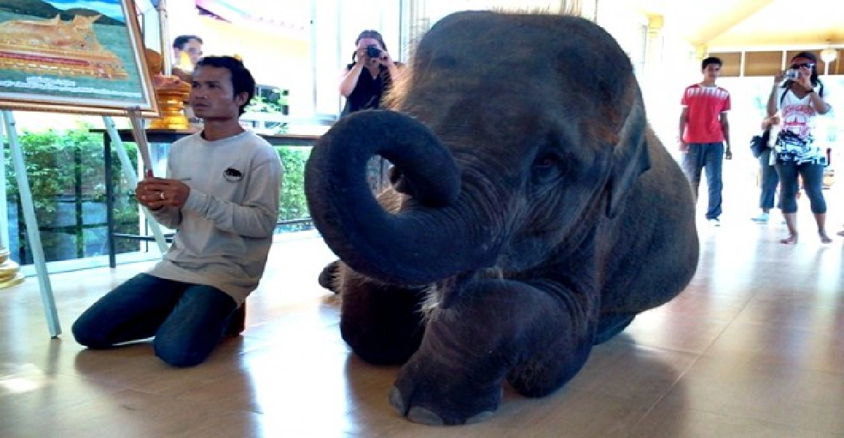 เลี้ยงเค๊กผลไม้ยักษ์วันอนุรักษ์ช้างไทย