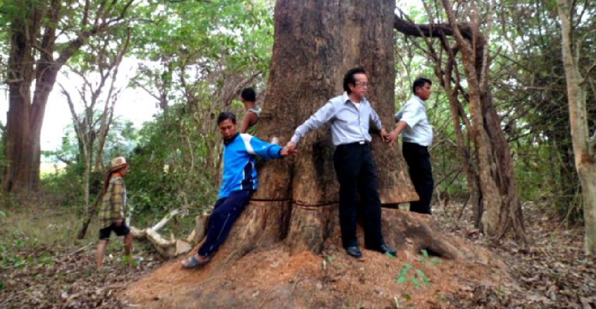 ชาวบ้านบุกโรงพักฉุนตร.ปล่อยตัว2มอดไม้ ชาวบ้านบุกโรงพักฉุนตร.ปล่อยตัว2มอดไม้