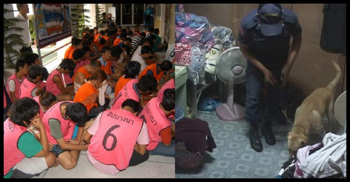 ผูกมิตร'ห้องเช่า'แตกหักยาเสพติด ผูกมิตร'ห้องเช่า'แตกหักยาเสพติด