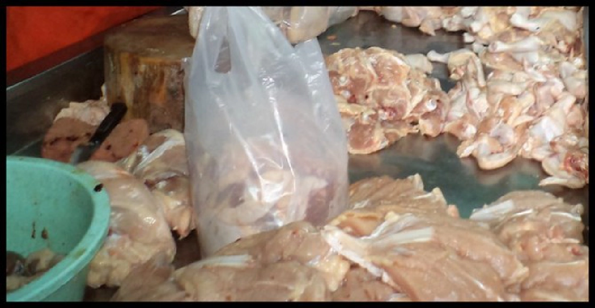 อียูเปิดนำเข้าไก่สดไทยตั้งแต่1ก.ค. อียูเปิดนำเข้าไก่สดไทยตั้งแต่1ก.ค.