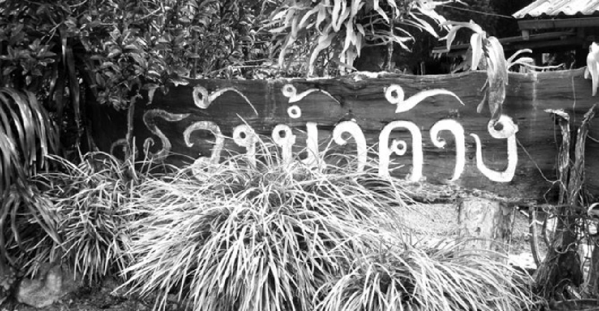 'ไร่น้ำค้าง'แหล่งผลิตส้มโชกุล 'ไร่น้ำค้าง'แหล่งผลิตส้มโชกุล
