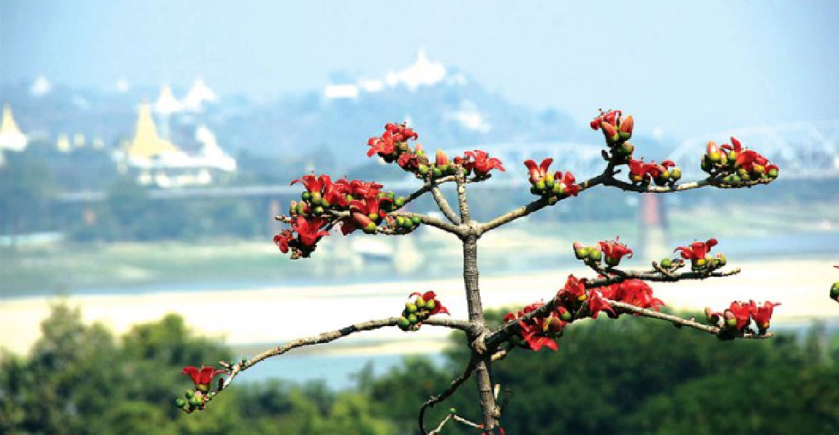 เมียงม่านเมียนมาร์6:ราชธานีนี่นี้เป็นพยาน 
