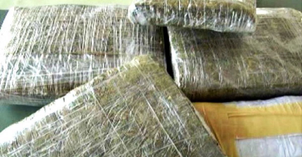 จับกัญชาเตรียมส่งออกนอกค่าพันล้าน จับกัญชาเตรียมส่งออกนอกค่าพันล้าน