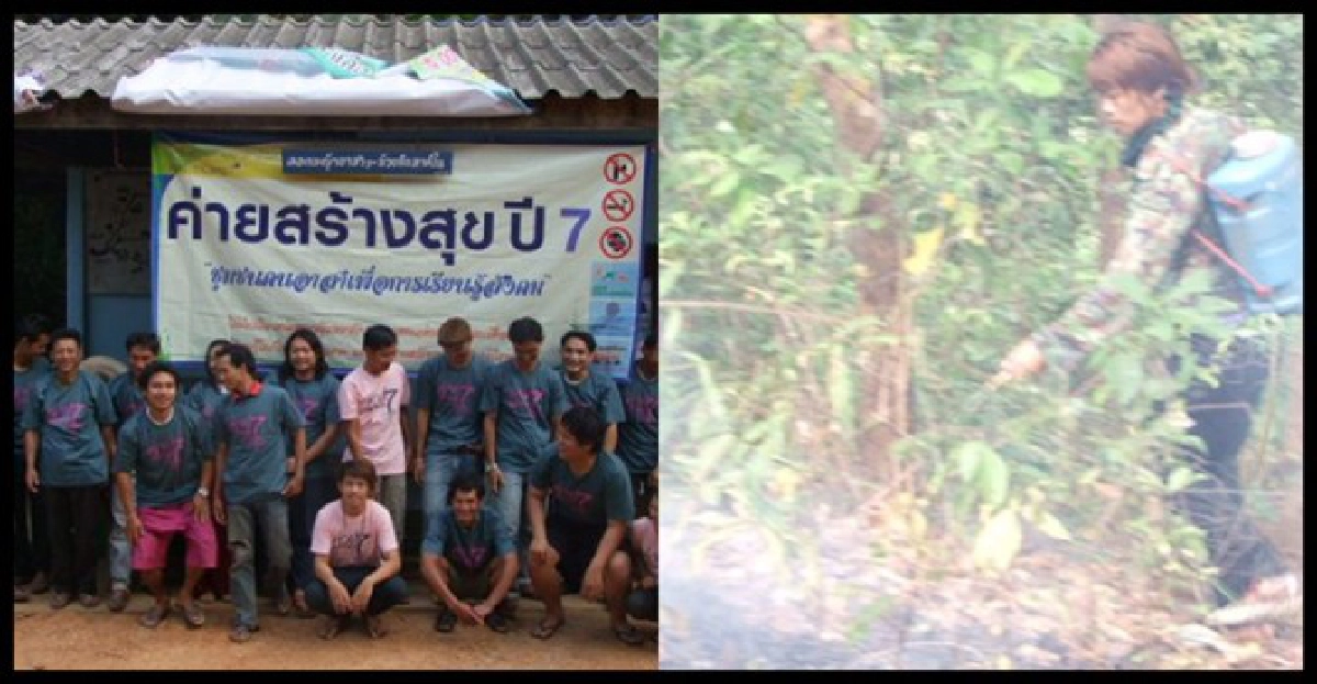 ค่ายสร้างสุขเรียนรู้หยุดไฟป่า ค่ายสร้างสุขเรียนรู้หยุดไฟป่า