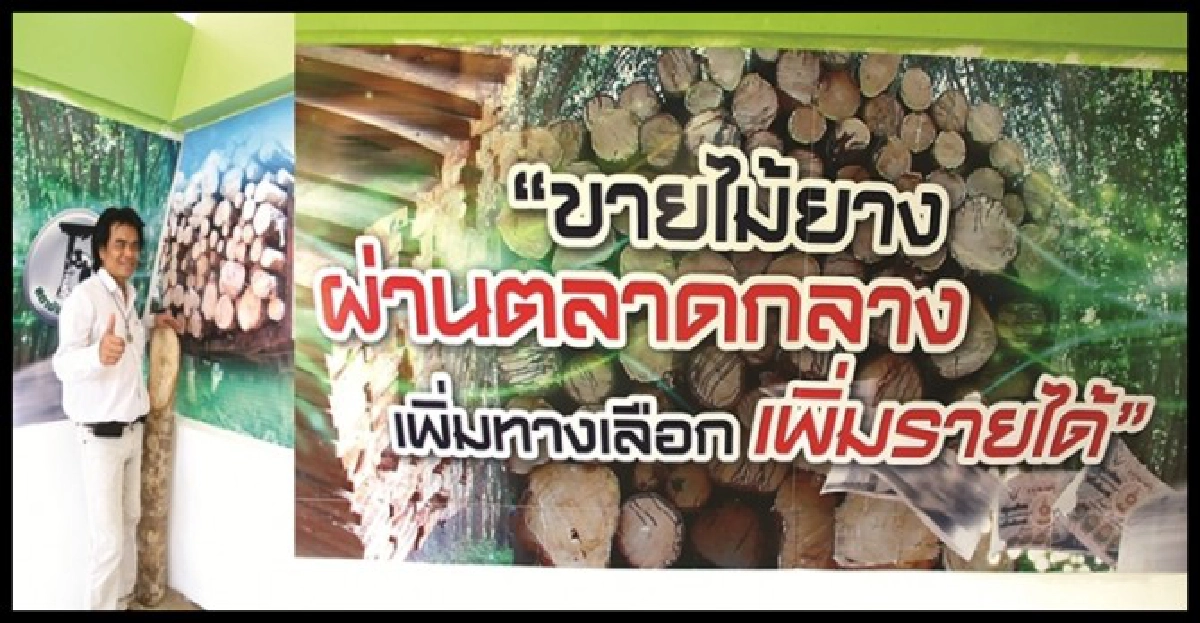 สถาบันวิจัยยางเปิด'ตลาดกลางไม้ยาง' สถาบันวิจัยยางเปิด'ตลาดกลางไม้ยาง'
