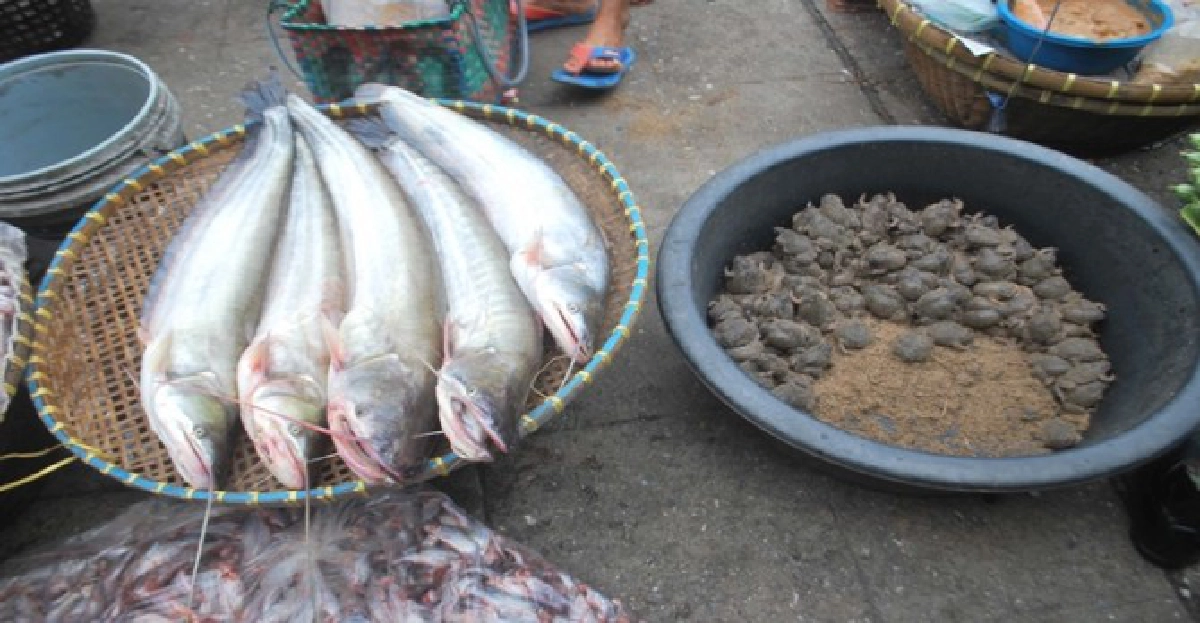 'อึ่งโกก'สองแควขายดีกก.ละ150บ.