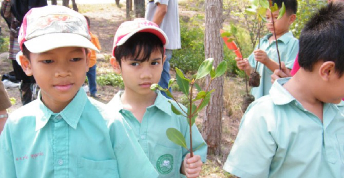 เรียนรู้-ปลูกป่าชายเลน 