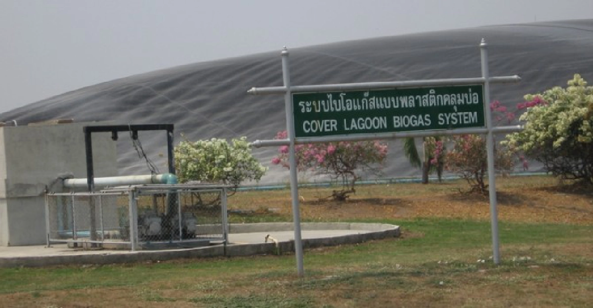 แปลงขี้สุกรเป็น'ไบโอแก๊ส'
