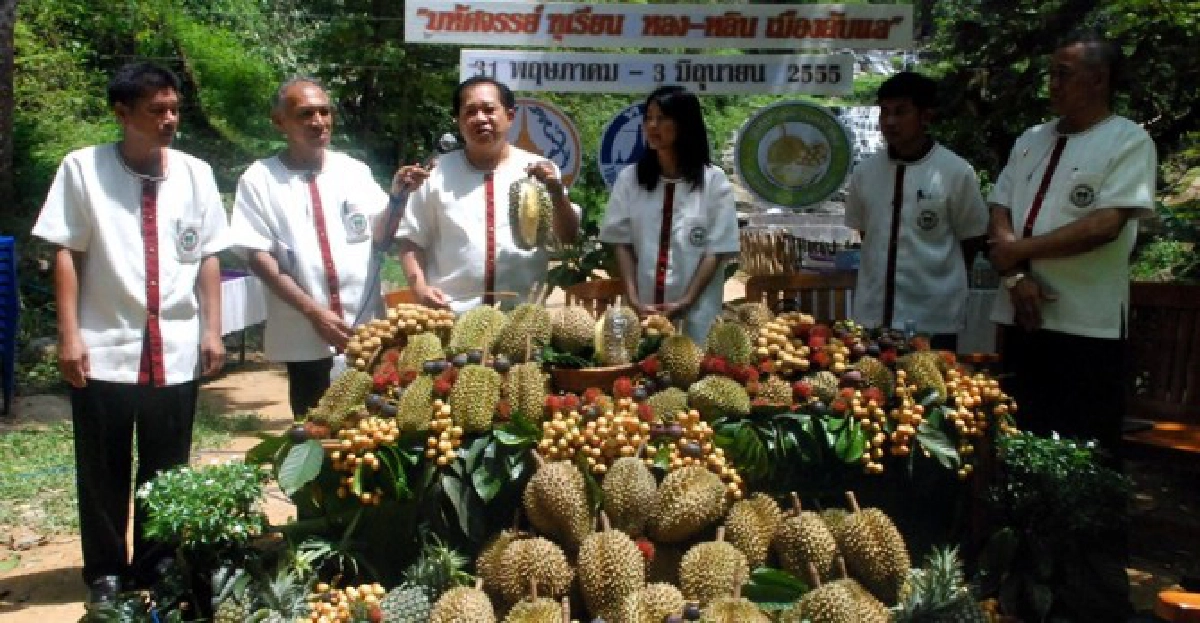 ทึ่ง!ทุเรียนสายพันธุ์ใหม่ไร้กลิ่น-เมล็ด