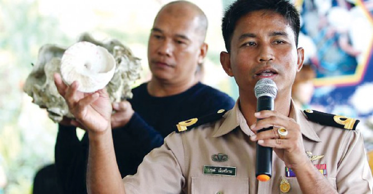 ปลูกปะการัง สำนึกรักษ์ธรรมชาติ