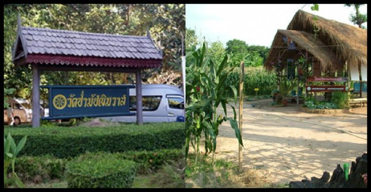 เปิดหมู่บ้านดงเมืองวิถีพุทธวิถีพอเพียง เปิดหมู่บ้านดงเมืองวิถีพุทธวิถีพอเพียง