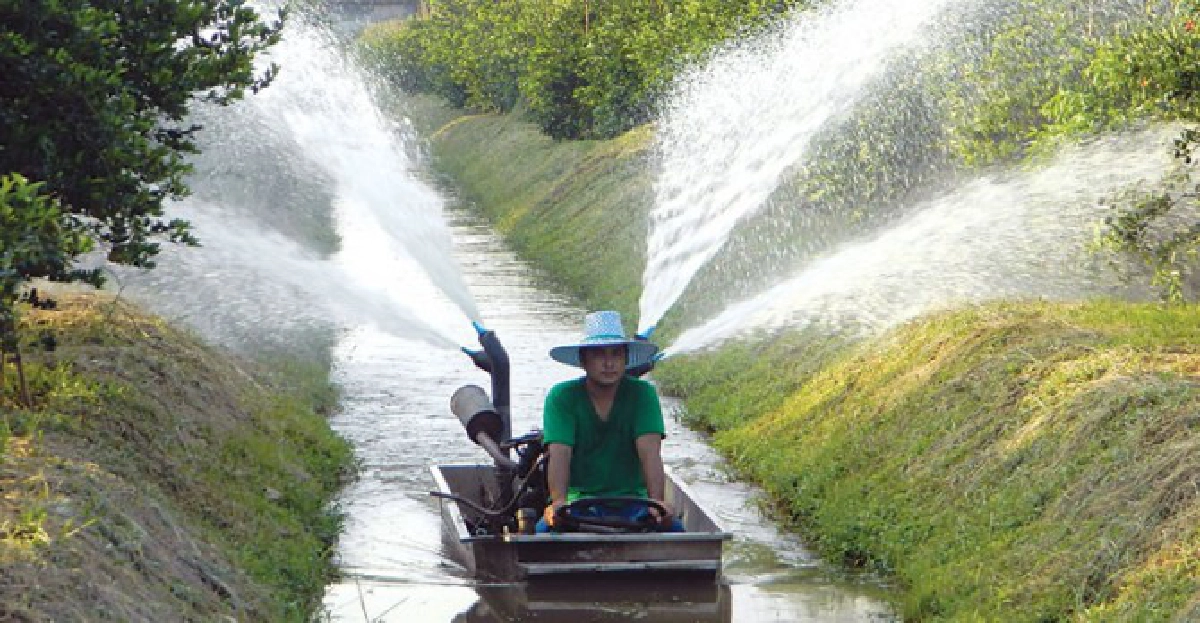 ฟื้นสวนส้มทุ่งรังสิตที่หนองเสือ