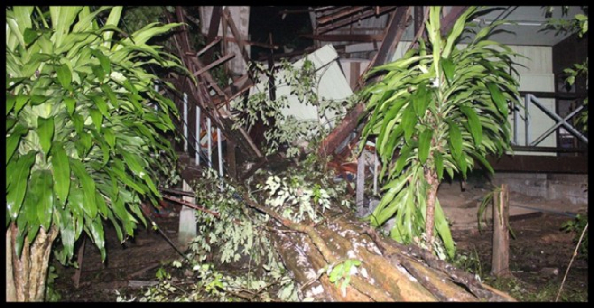 พายุฝนซัดเมืองกันตังพะยุงล้มทับ2แม่ลูกดับ