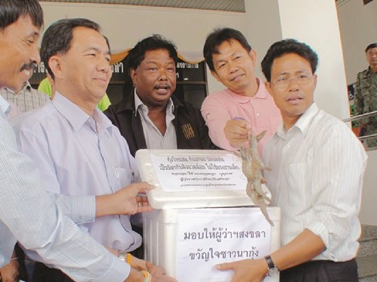 ทางรอดของอาชีพเพาะเลี้ยงกุ้ง ทางรอดของอาชีพเพาะเลี้ยงกุ้ง