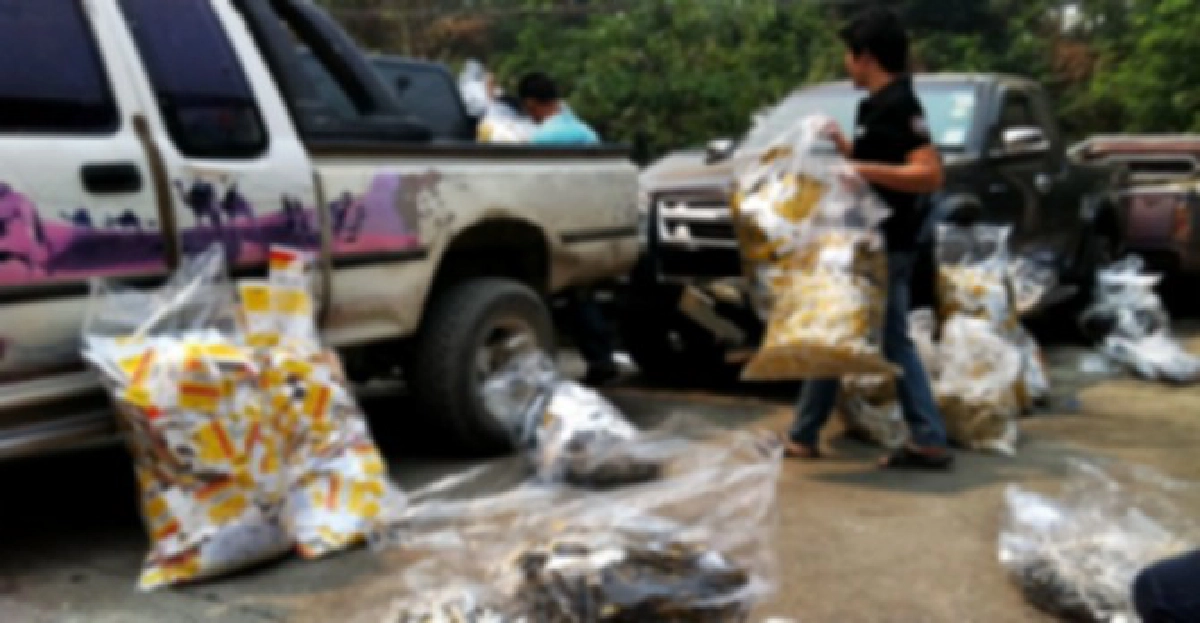 DSIรวบ2ตัวการใหญ่ลักลอบค้ายาซูโดฯ DSIรวบ2ตัวการใหญ่ลักลอบค้ายาซูโดฯ