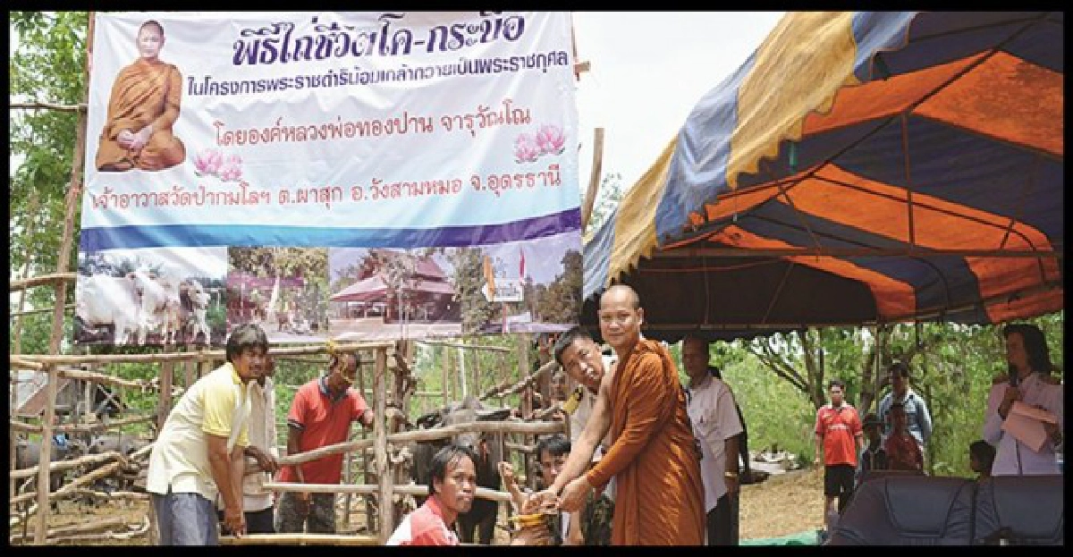 ร่วมทำบุญใส่บาตรพระกรรมฐาน ๑๕ รูป ร่วมทำบุญใส่บาตรพระกรรมฐาน ๑๕ รูป