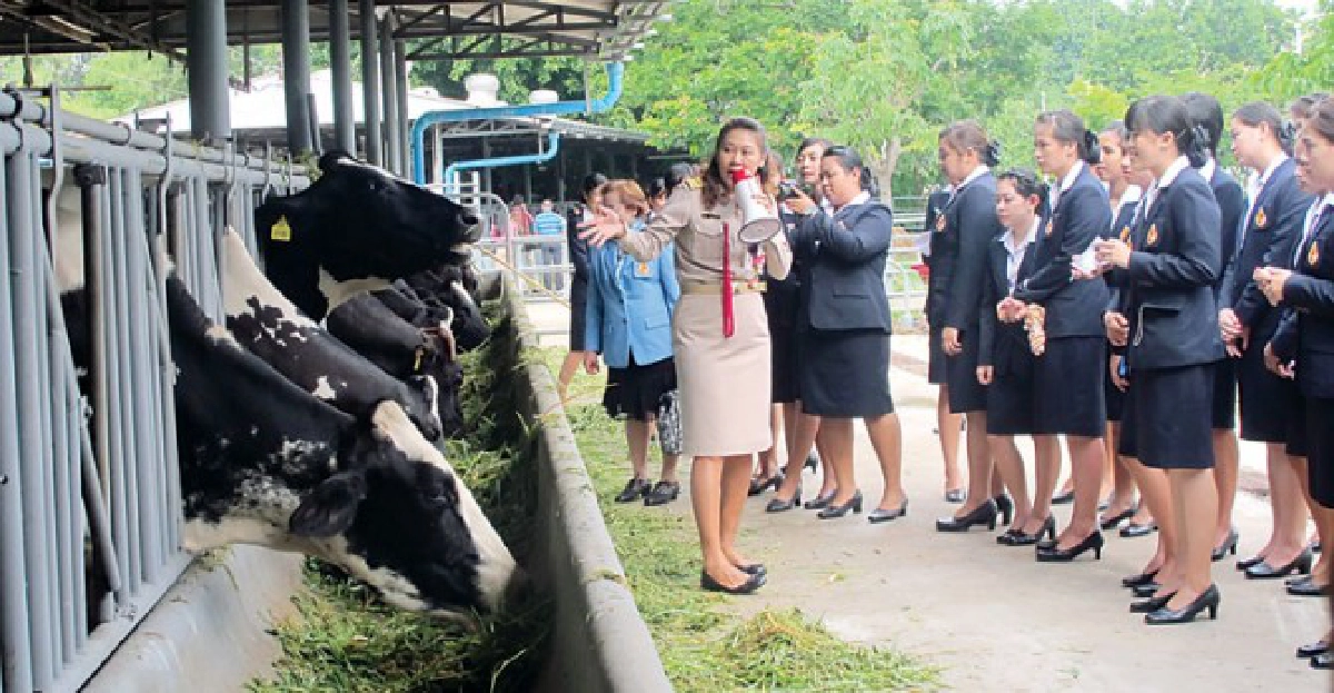 ปลูกจิตสำนึกนศ.พยาบาล เรียนรู้-ทำจริง ปลูกจิตสำนึกนศ.พยาบาล เรียนรู้-ทำจริง