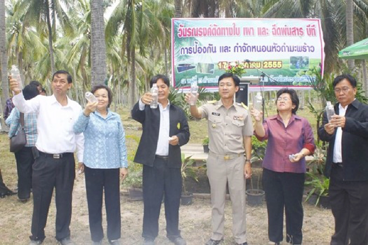 4แผนพิชิต'หนอนหัวดำ-แมลงดำหนาม' 4แผนพิชิต'หนอนหัวดำ-แมลงดำหนาม'