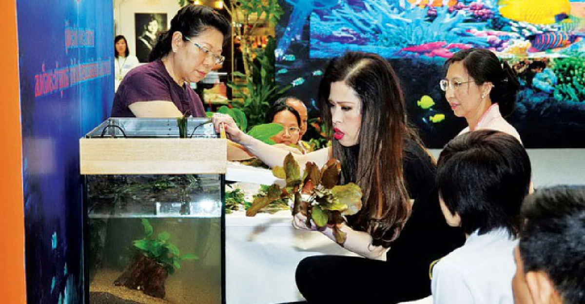 'เจ้าฟ้าจุฬาภรณ์ฯ 'ทรงจัดตู้ปลาแบบลุ่มน้ำอเมซอน 'เจ้าฟ้าจุฬาภรณ์ฯ 'ทรงจัดตู้ปลาแบบลุ่มน้ำอเมซอน