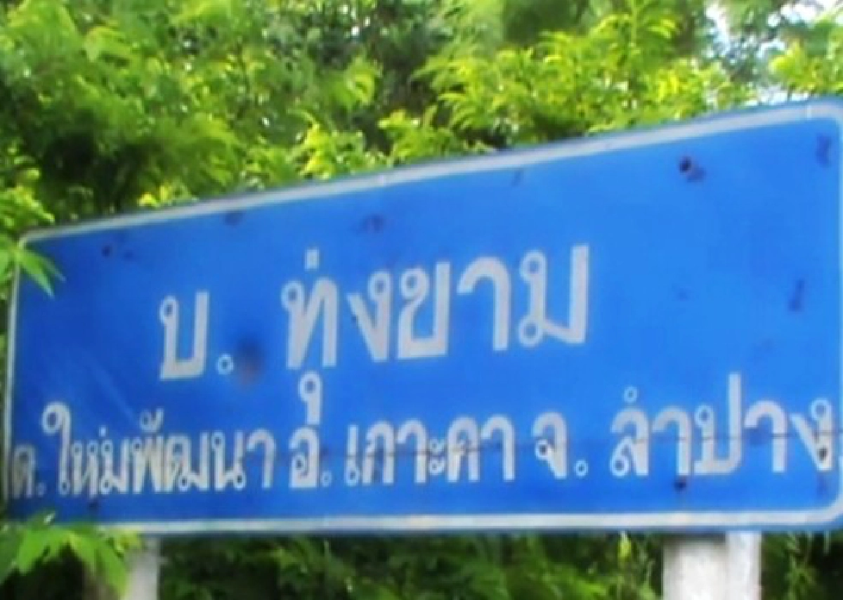 ตัวเป็นๆ!แห่ดูลูกหมู2หัวตีเลขซื้อหวย ตัวเป็นๆ!แห่ดูลูกหมู2หัวตีเลขซื้อหวย