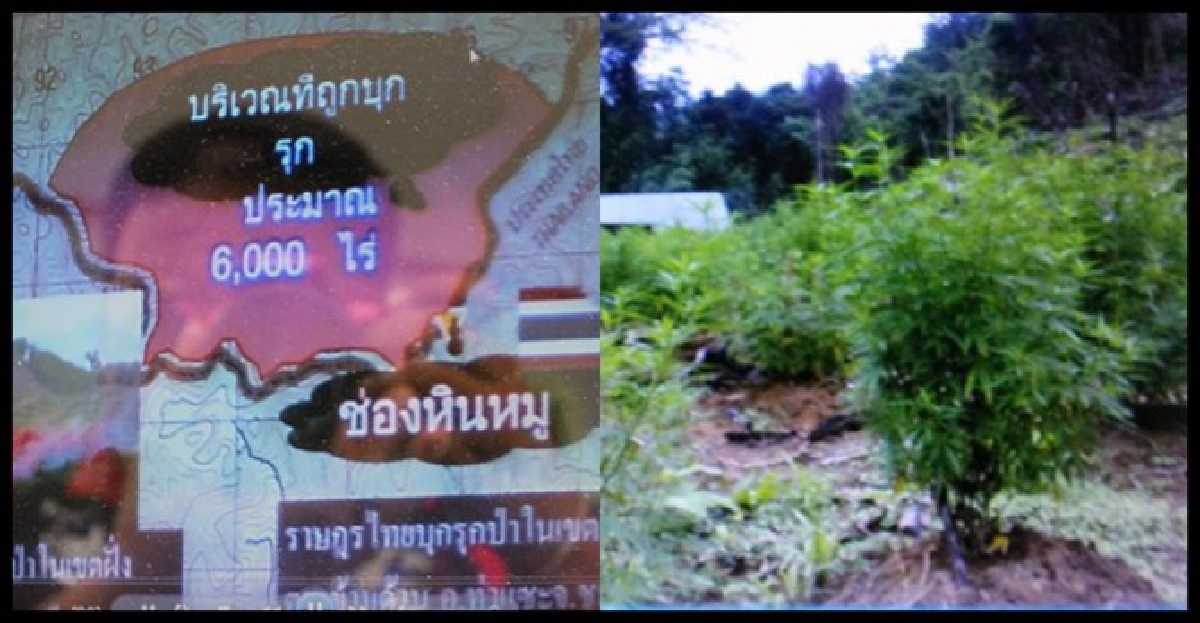 ไม่ฟันธงปล่อย'49คนไทย'ก่อน'เต็งเส่ง'เยือน ไม่ฟันธงปล่อย'49คนไทย'ก่อน'เต็งเส่ง'เยือน