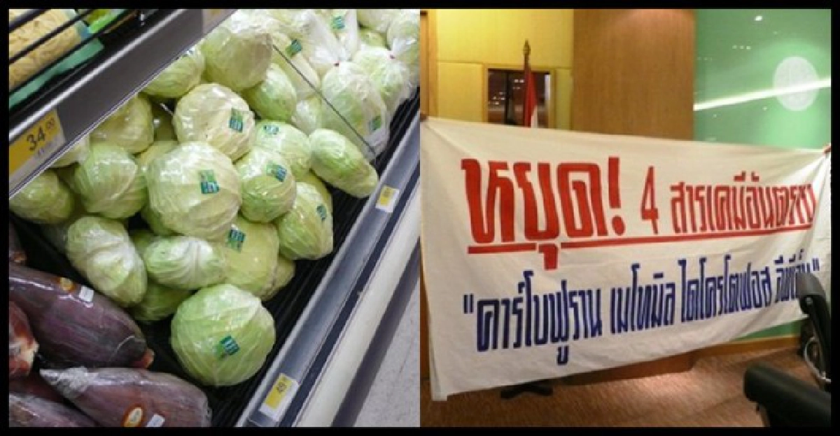 เตือน'ผักอาบสารพิษ'เกลื่อนห้าง..ไฮโซ เตือน'ผักอาบสารพิษ'เกลื่อนห้าง..ไฮโซ