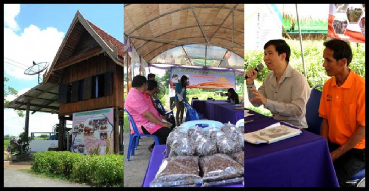 ชู'ธรรมามูล'ชุมชนเข้มแข็งสู้ภัยน้ำท่วม ชู'ธรรมามูล'ชุมชนเข้มแข็งสู้ภัยน้ำท่วม