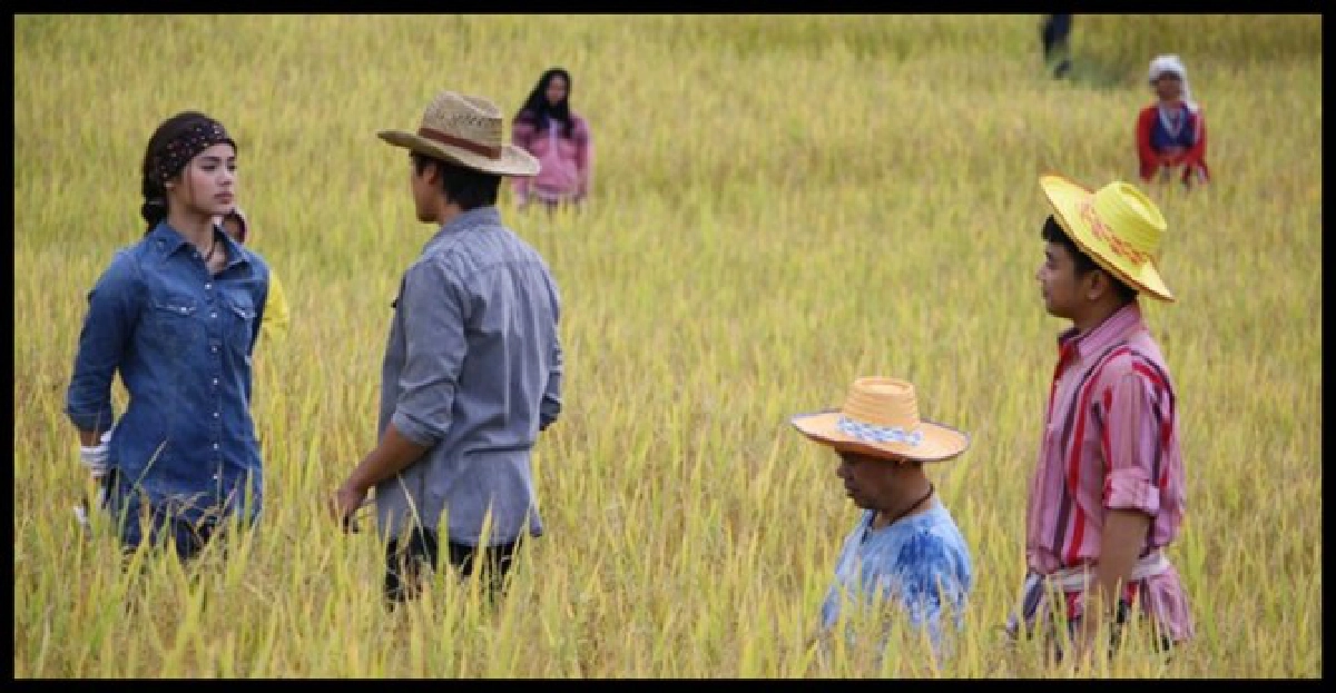 'ณเดชน์'สวีท'ญาญ่า'ควงกันเกี่ยวข้าวเต็มท้องทุ่ง
'ณเดชน์'สวีท'ญาญ่า'ควงกันเกี่ยวข้าวเต็มท้องทุ่ง
