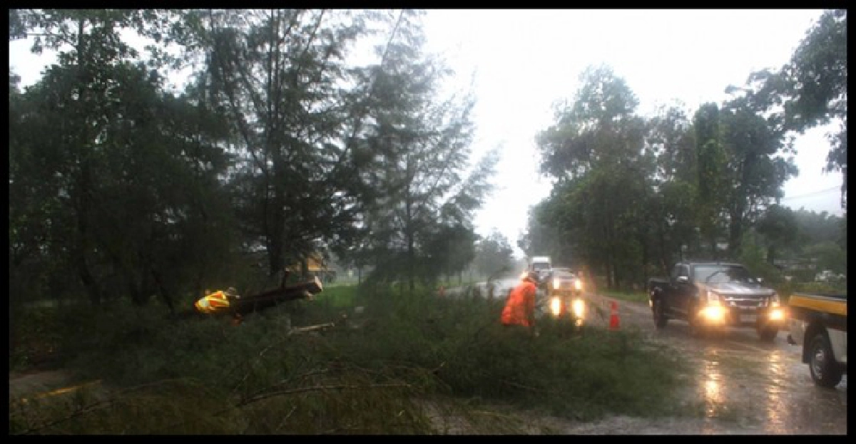 ระนองฝนตกหนักต้นไม้โค่นขวางถนน ระนองฝนตกหนักต้นไม้โค่นขวางถนน