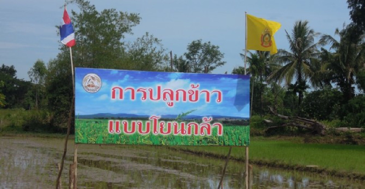 หอมกลิ่นกล้วยไม้ หอมกลิ่นกล้วยไม้