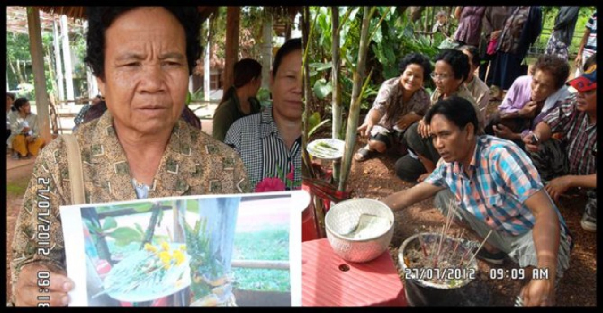 ตื่น!'พญานาค'โผล่ต้นหมากแห่ขอหวย ตื่น!'พญานาค'โผล่ต้นหมากแห่ขอหวย