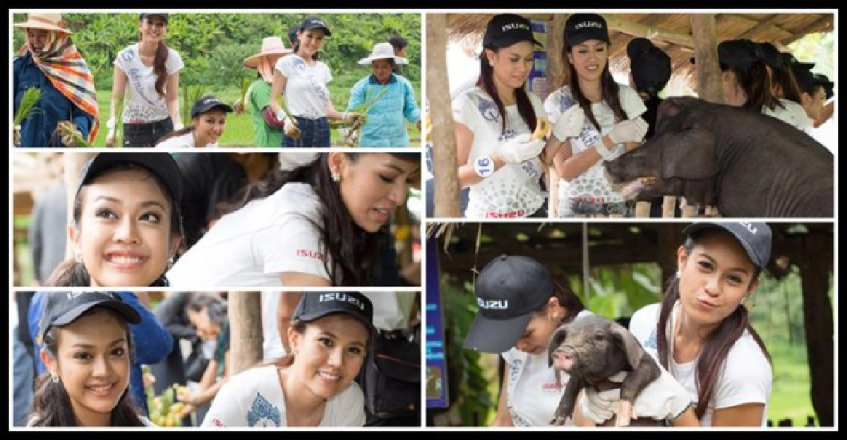 อิ่มใจ18สาวงาม'ทำบุญ-ทำนา' อิ่มใจ18สาวงาม'ทำบุญ-ทำนา'