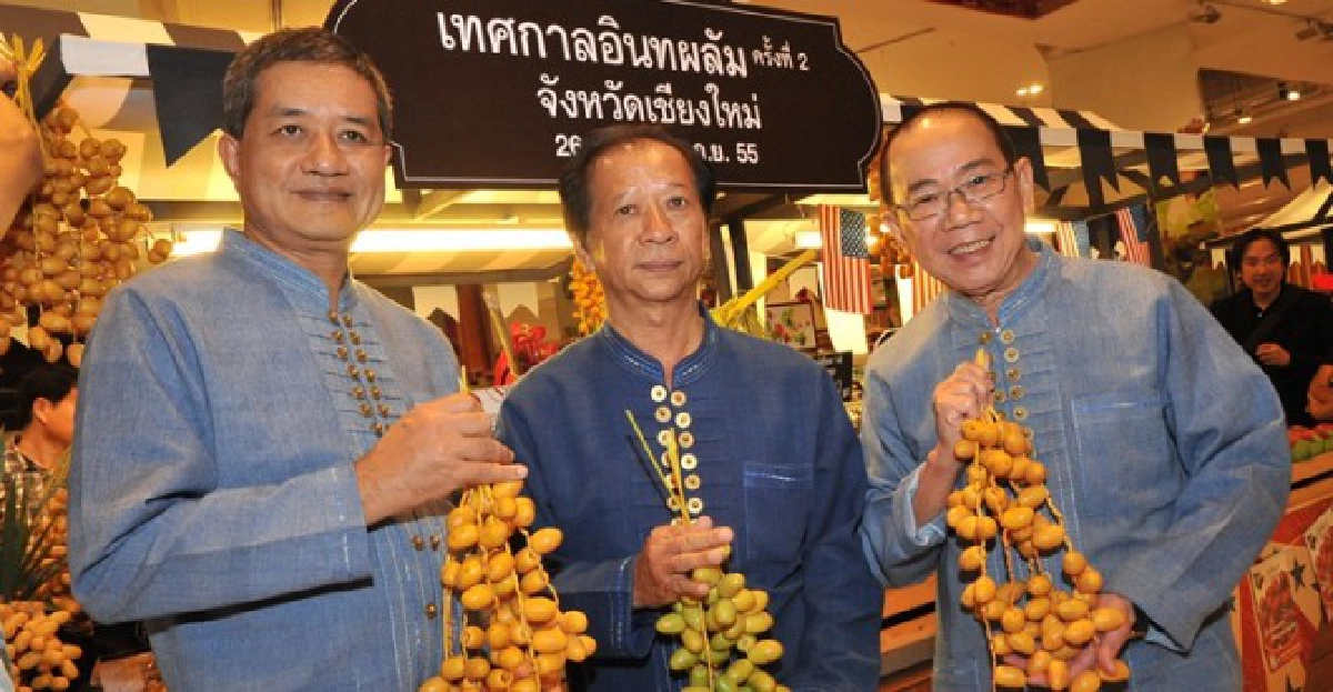 'อินทผลัม'ทางเลือกสำหรับคนรักสุขภาพ 'อินทผลัม'ทางเลือกสำหรับคนรักสุขภาพ