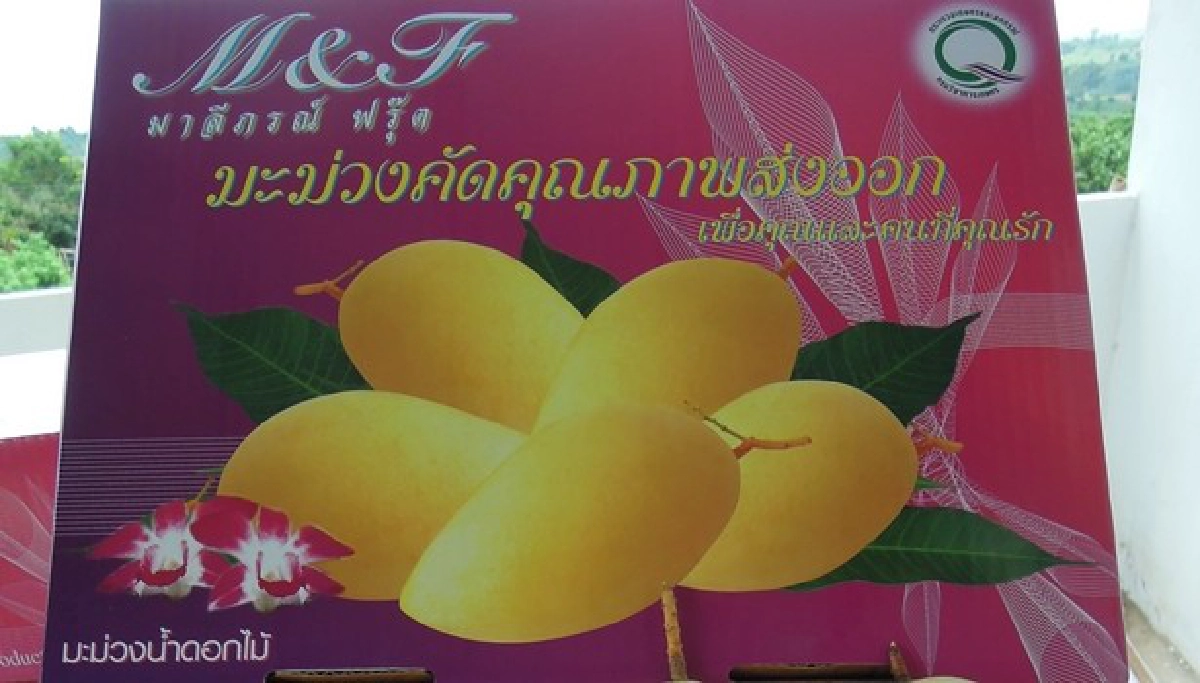 ไม้ผลทำเงินมะม่วง(นอกฤดู)