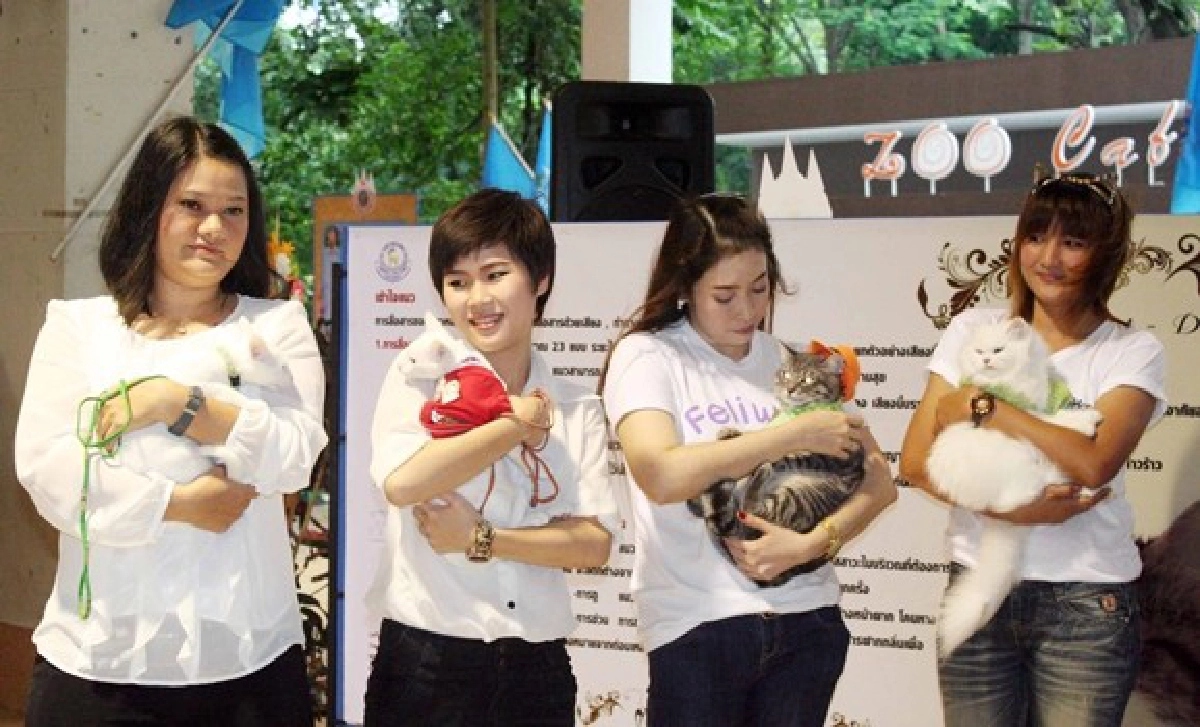 'วันแมวโลก'ฉีดวัคซีน-ทำหมันฟรี 'วันแมวโลก'ฉีดวัคซีน-ทำหมันฟรี