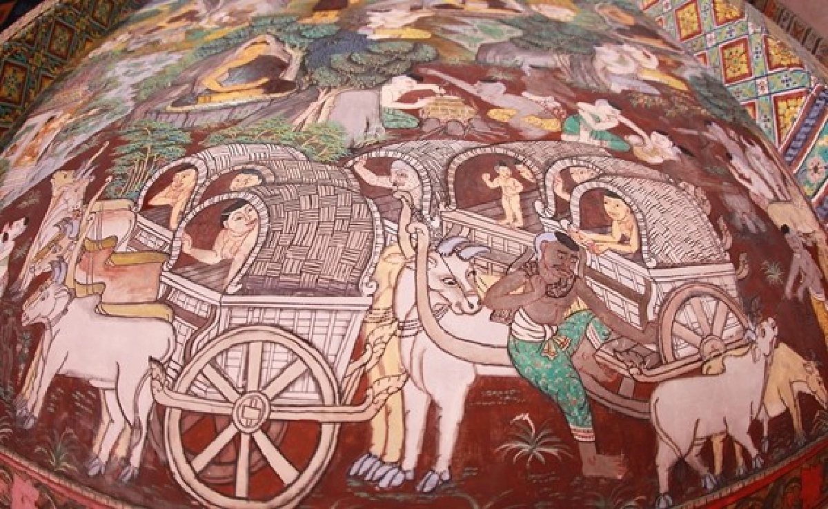 จุดโฟกัส:ตาปลาสร้างภาพ จุดโฟกัส:ตาปลาสร้างภาพ