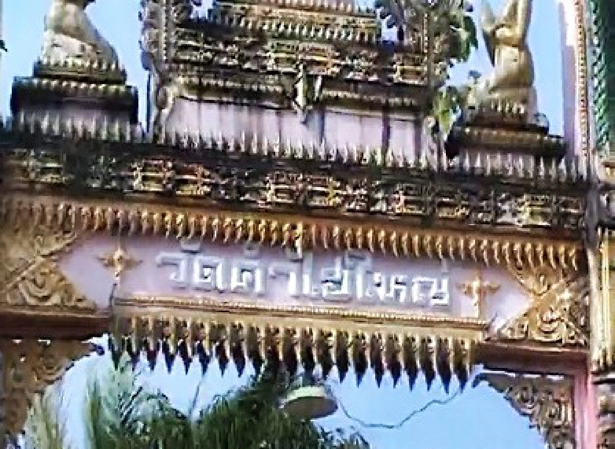 ตื่น!พญานาคโผล่ยอดต้นมะพร้าว ตื่น!พญานาคโผล่ยอดต้นมะพร้าว