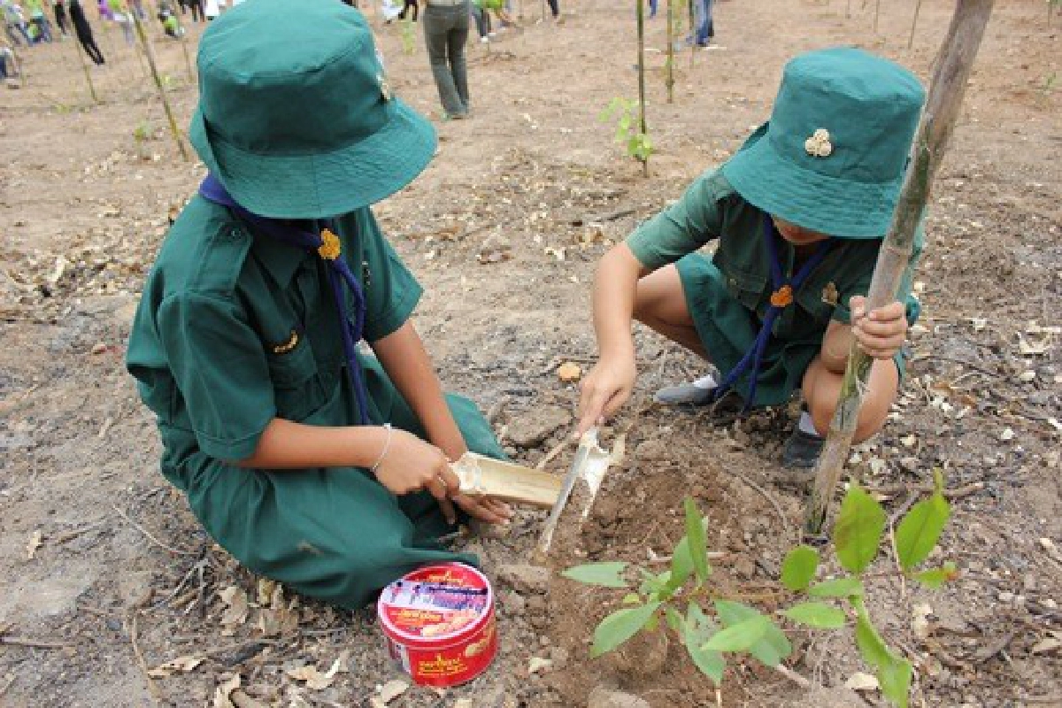 ยกทัพฟื้นฟูป่าสงวน ยกทัพฟื้นฟูป่าสงวน