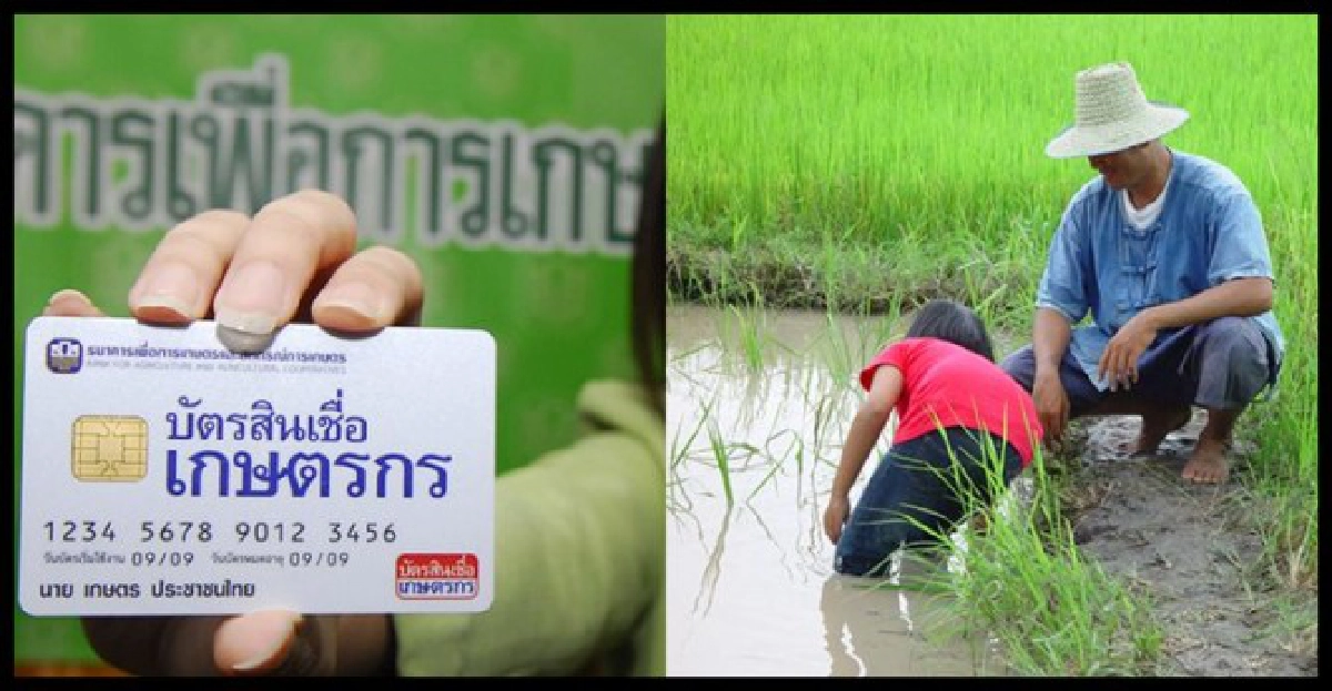 3เงื่อนไข...รูดปื๊ด'เครดิตชาวนา' 3เงื่อนไข...รูดปื๊ด'เครดิตชาวนา'