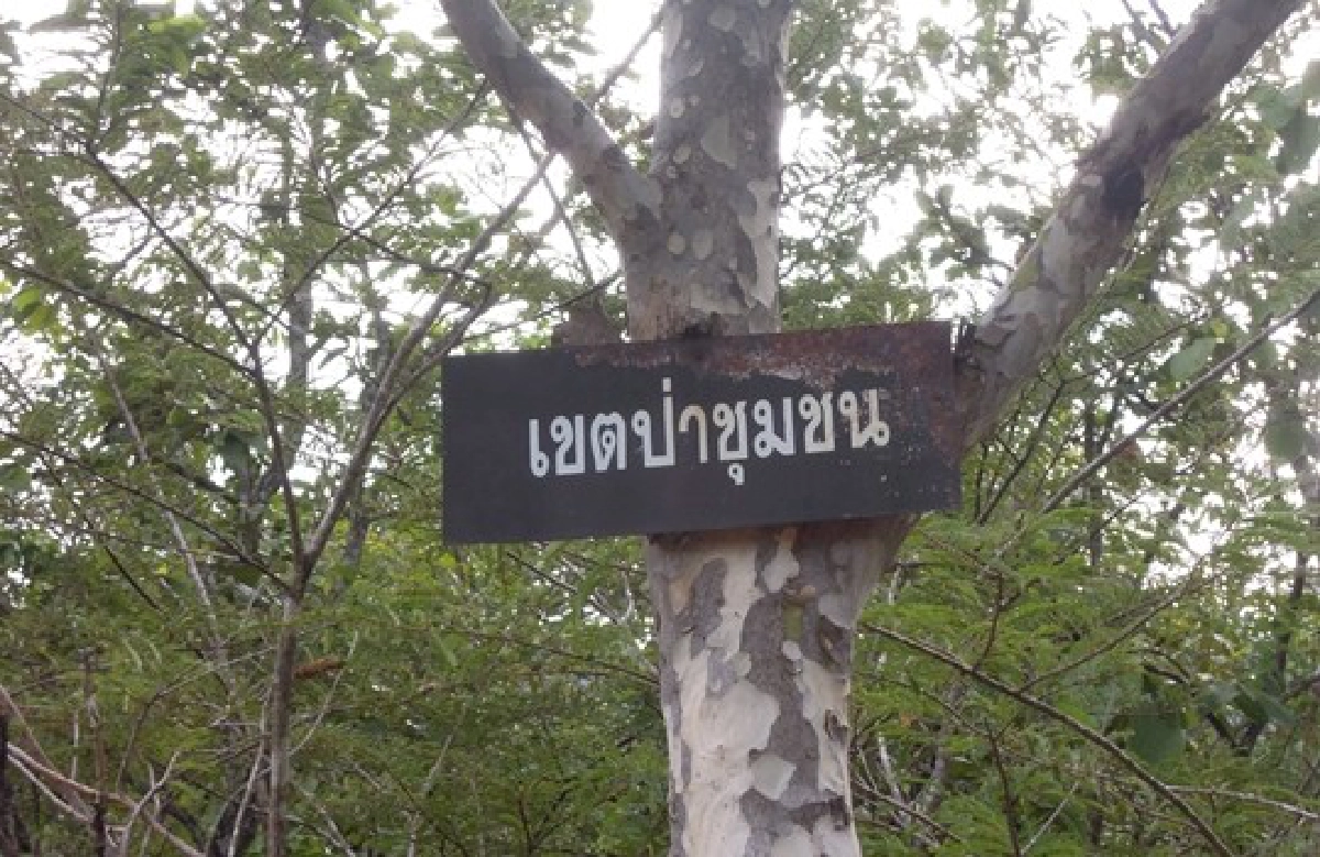 'คาร์บอนเครดิต'สร้างรายได้ชุมชน 'คาร์บอนเครดิต'สร้างรายได้ชุมชน