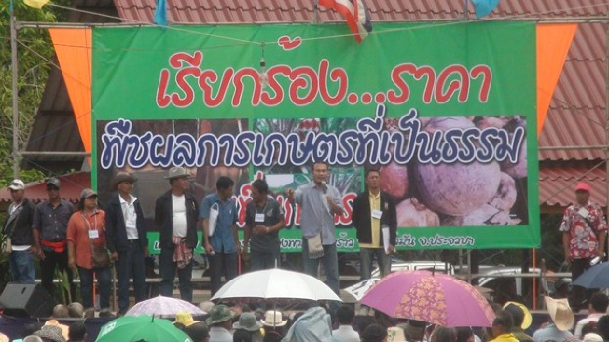 จับตาพรรคใหม่'ยางพาราไทย'