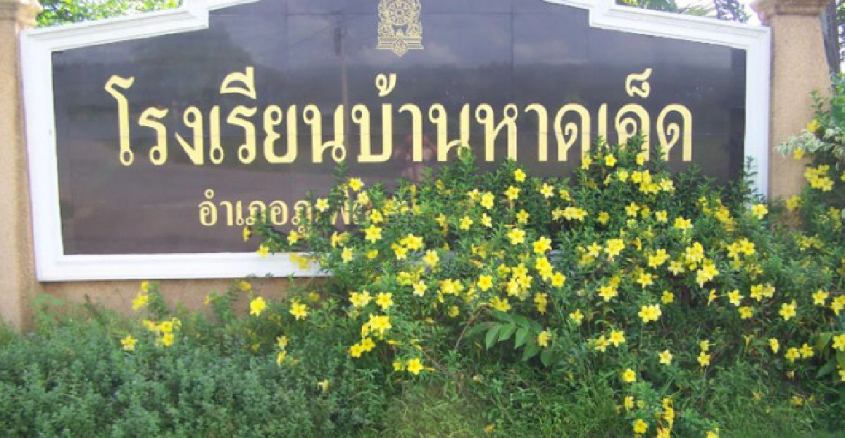 ปลูกผักไร้สารพิษ ชีวิตของเด็กบ้านหาดเค็ด ปลูกผักไร้สารพิษ ชีวิตของเด็กบ้านหาดเค็ด