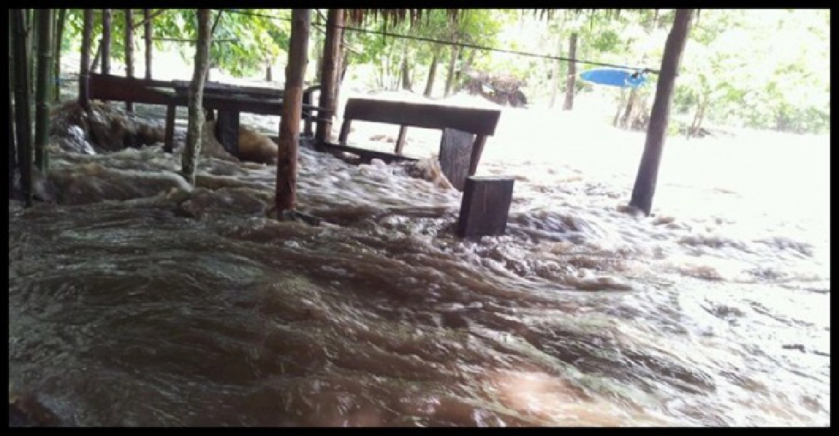 ฝนตกหนักหลากท่วม'ปากน้ำโพ' ฝนตกหนักหลากท่วม'ปากน้ำโพ'