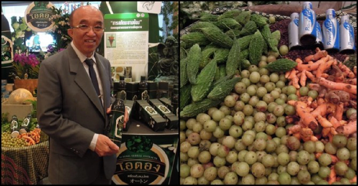 'โอตอง'สารสกัดจากสมุนไพรไทย 'โอตอง'สารสกัดจากสมุนไพรไทย