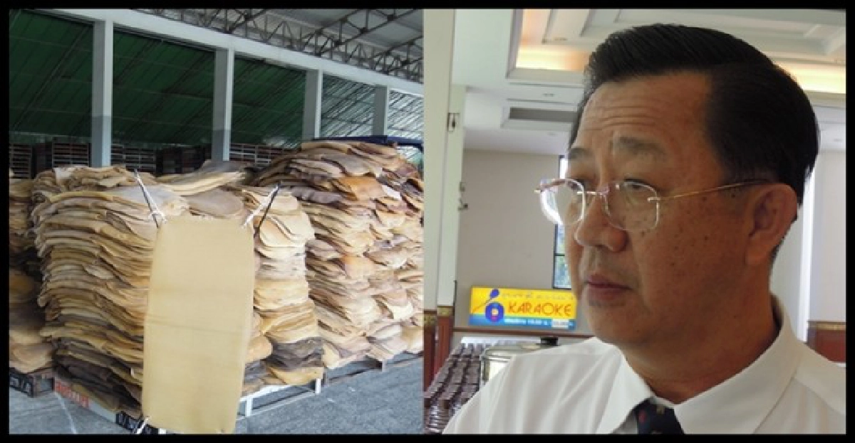 2แนวทางแก้ปัญหาราคายาง 2แนวทางแก้ปัญหาราคายาง