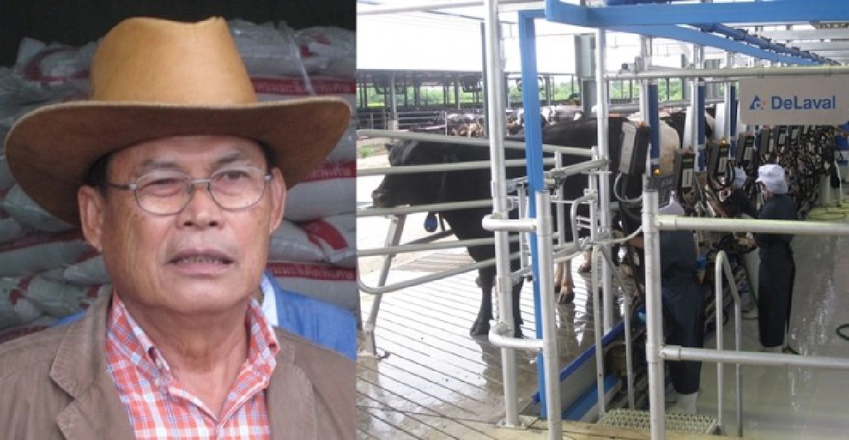 'โคนมวังน้ำเย็น'ทุ่มพันล้านลุยเออีซี 'โคนมวังน้ำเย็น'ทุ่มพันล้านลุยเออีซี