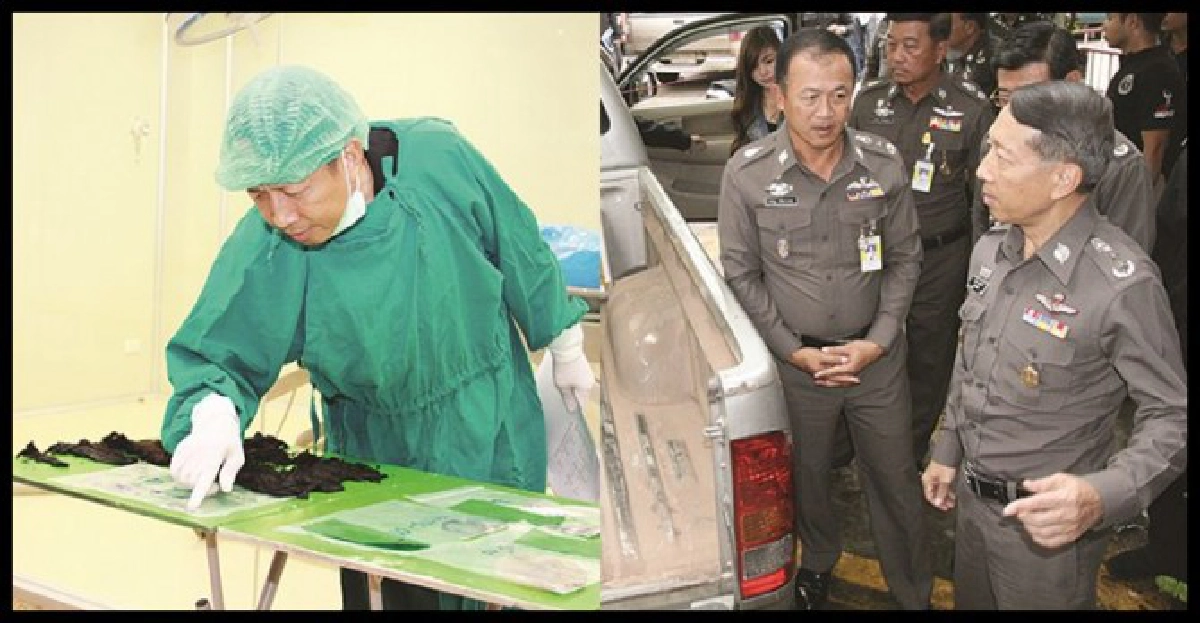 ไขคดีปริศนากับ'ซีเอสไอ ไทยแลนด์' ไขคดีปริศนากับ'ซีเอสไอ ไทยแลนด์'