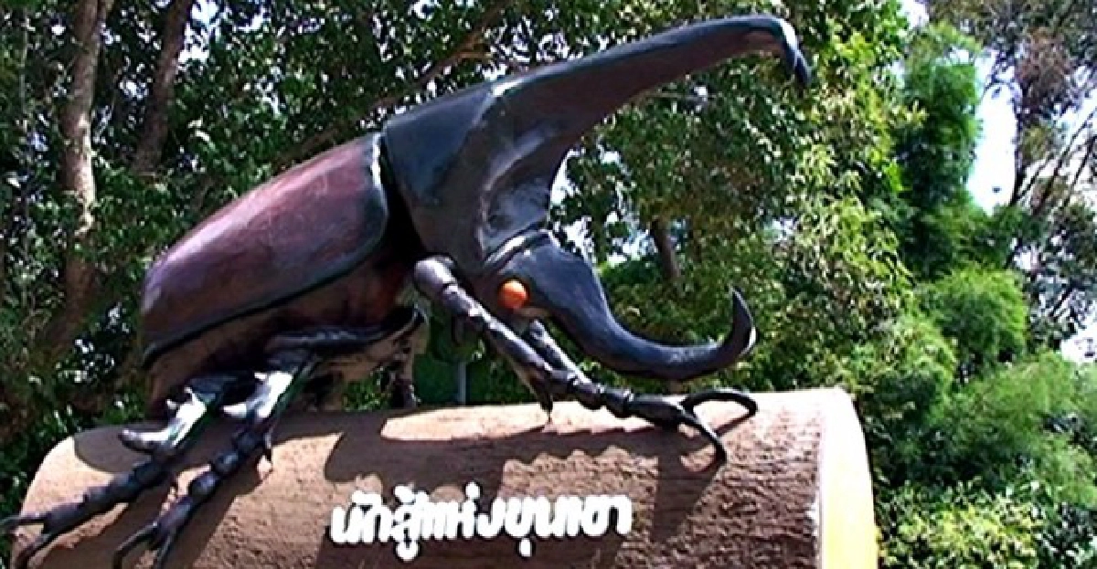 ตลาดนัดงานศิลป์ ตลาดนัดงานศิลป์