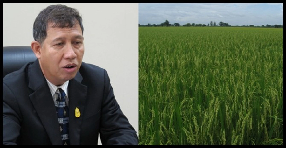 ปลัดใหม่กับการแก้ปัญหาเกษตรไทย ปลัดใหม่กับการแก้ปัญหาเกษตรไทย